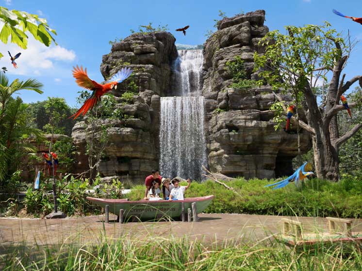 Mandai Bird Paradise - Water Foundation